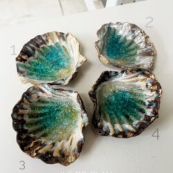 Schelpen multikleur met turquoise klein