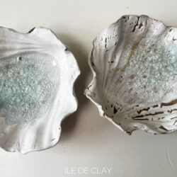 Schelpen groot mat wit